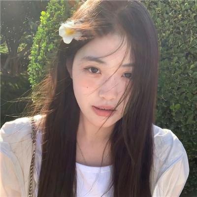 彩叶草之梦
